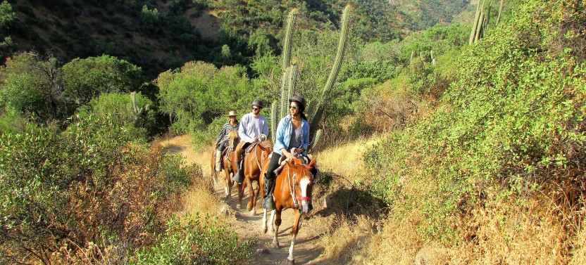Horseback Trail Ride in the Andes
