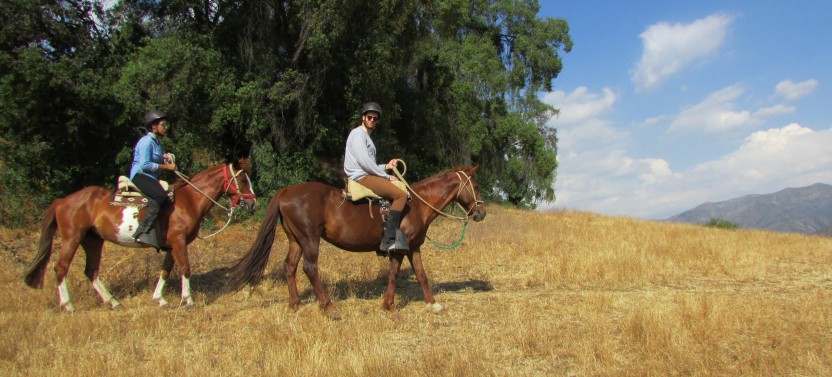 Horseback Trail Ride in the Andes