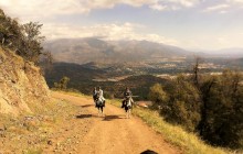 Horseback Trail Ride in the Andes