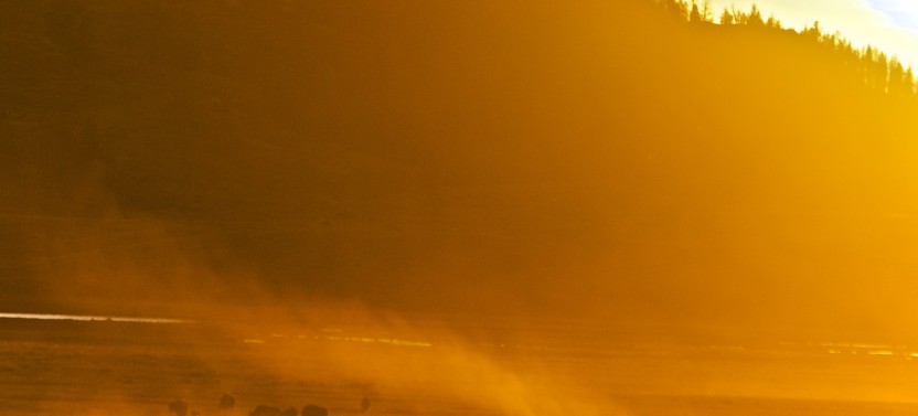 Join-in and Private Options for Sunset Tour in Grand Teton National Park