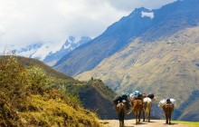 11D/10N Peru Adventure Experience via Salkantay