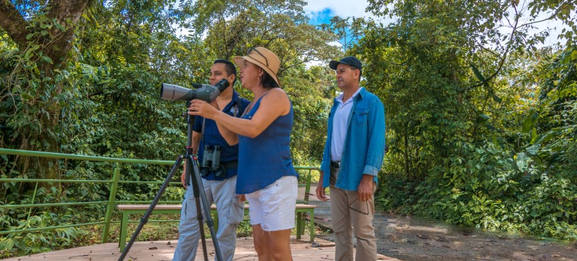 Arenal Volcano by Arenal Lake + Paradise Hot Springs with Lunch or Dinner