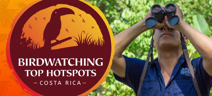 Birdwatching At Caño Negro Wildlife Refuge