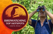 Birdwatching At Cloud forest Juan Castro Blanco National Park