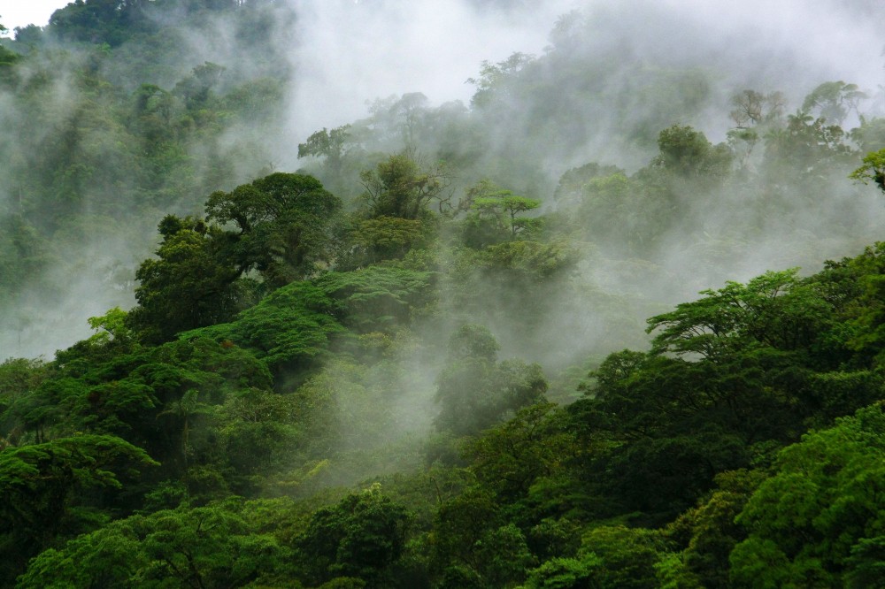 Children's Eternal Rain Forest Expedition - La Fortuna | Project Expedition