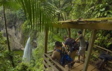 Children's Eternal Rain Forest Expedition