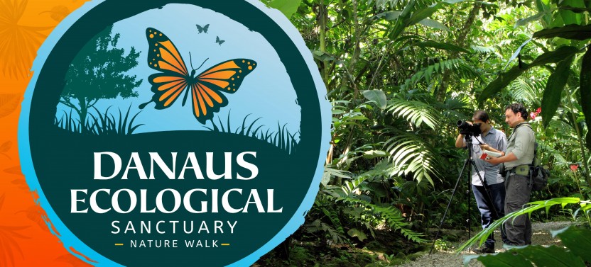 Ecocenter Danaus Night Walk