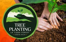La Tigra Forest Tree Planting & Agro-ecological Farm Visit