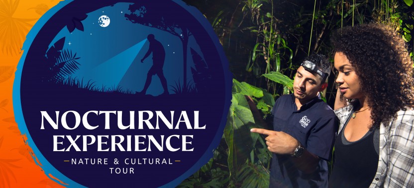 Nocturnal Natural Experience