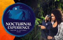 Nocturnal Natural Experience