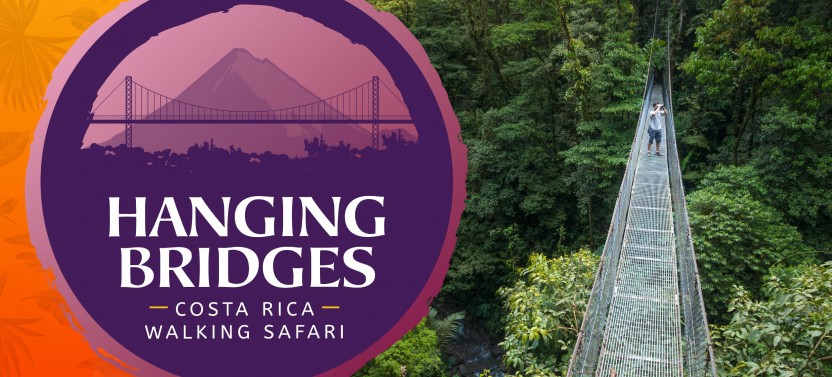 Arenal Hanging Bridges Hike