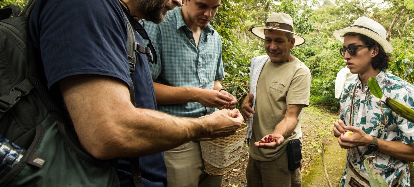 Coffee Experience at Coloma Farm near Bogotá