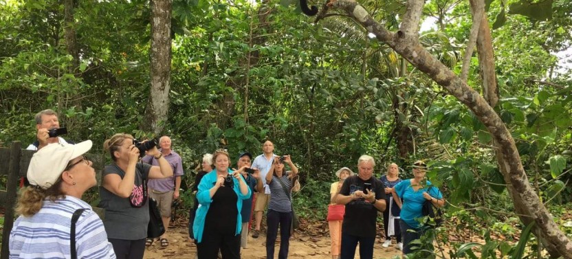 Shore Excursion: 6 in 1: Limon Highlights