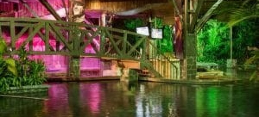 Private Tour: Arenal Fortuna Waterfall & Baldi Hot Springs