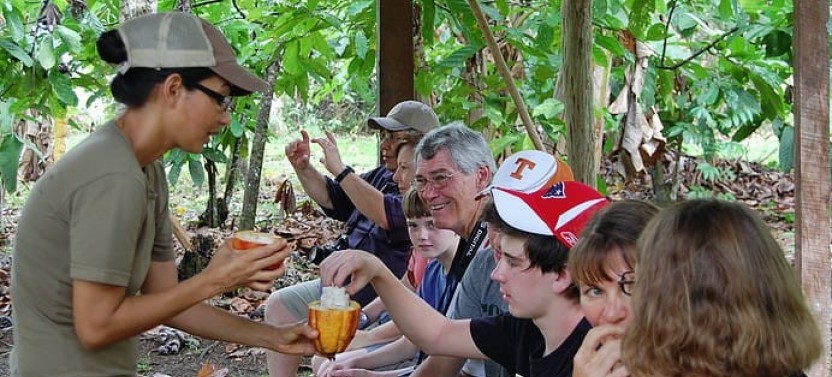 Private Tour: Chocolate Tour in the Rainforest & Hanging Bridge