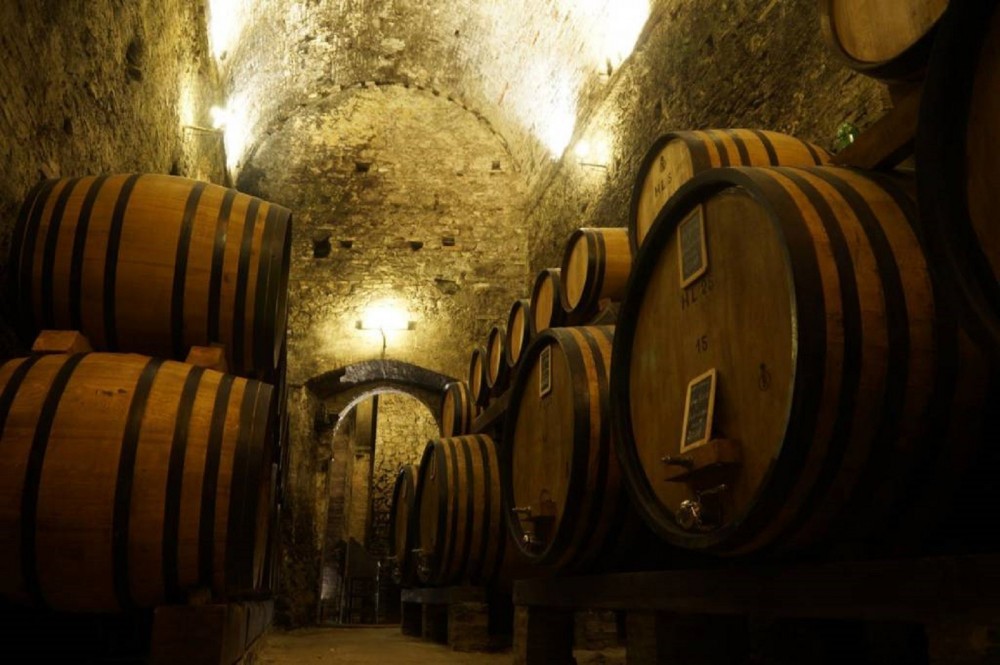 Montepulciano Wine Tasting - The most beautiful cellar in world