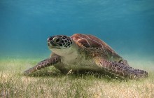 Eco Tours Adventure5