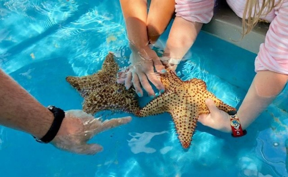 Coral World Ocean Park