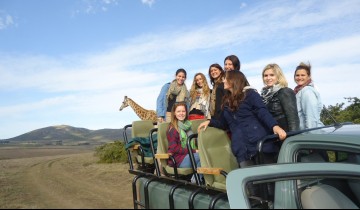 A picture of 2 Day Garden Route Wildlife Safari Tour (Return)