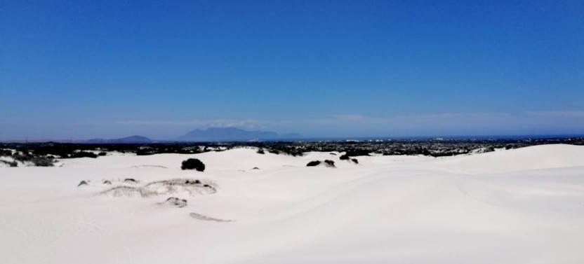 Sandboarding Atlantis Dunes
