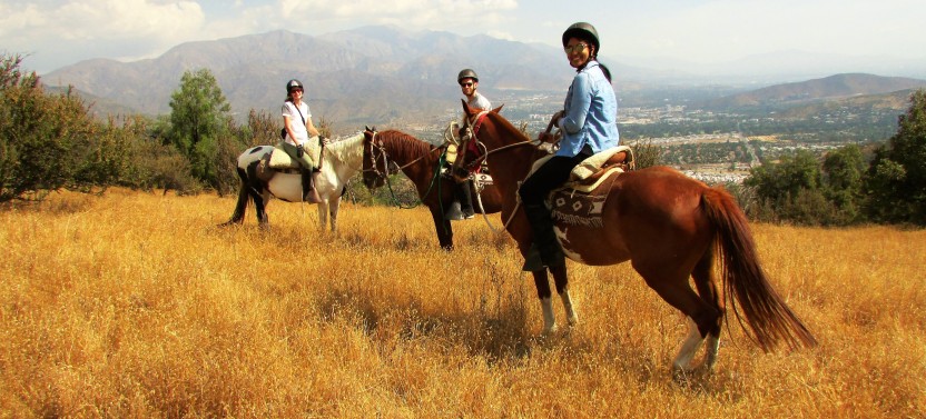 Sunset Horseback Tour