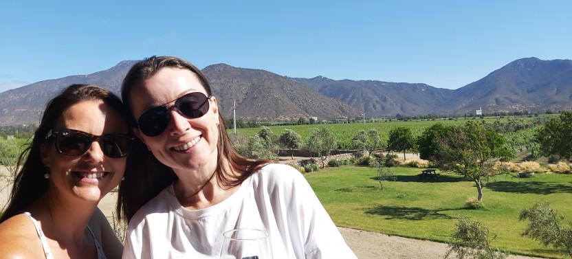 Casas del Bosque & Bodegas RE Wine Tour