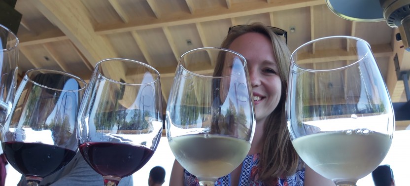 Casas del Bosque & Bodegas RE Wine Tour