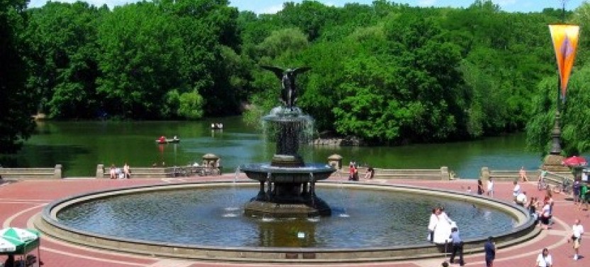 Central Park Small Group Walking Tour