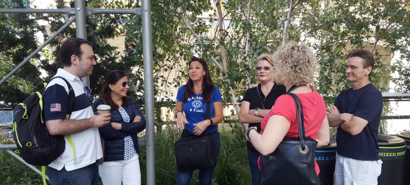 The High Line Small Group Walking Tour