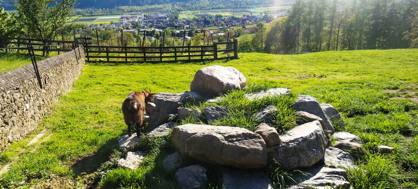 Vaduz in Liechtenstein & Swiss Heidiland on a Private Day Trip