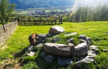 ARATOURS SA (AlpTransfer, AlpExcursion, Switzerland Tour)3