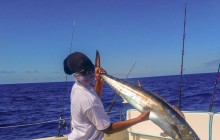 Private St Maarten Reef Fishing (5.5 hrs)