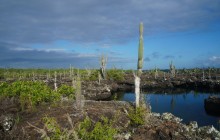6-day Galapagos Island Hopping Budget