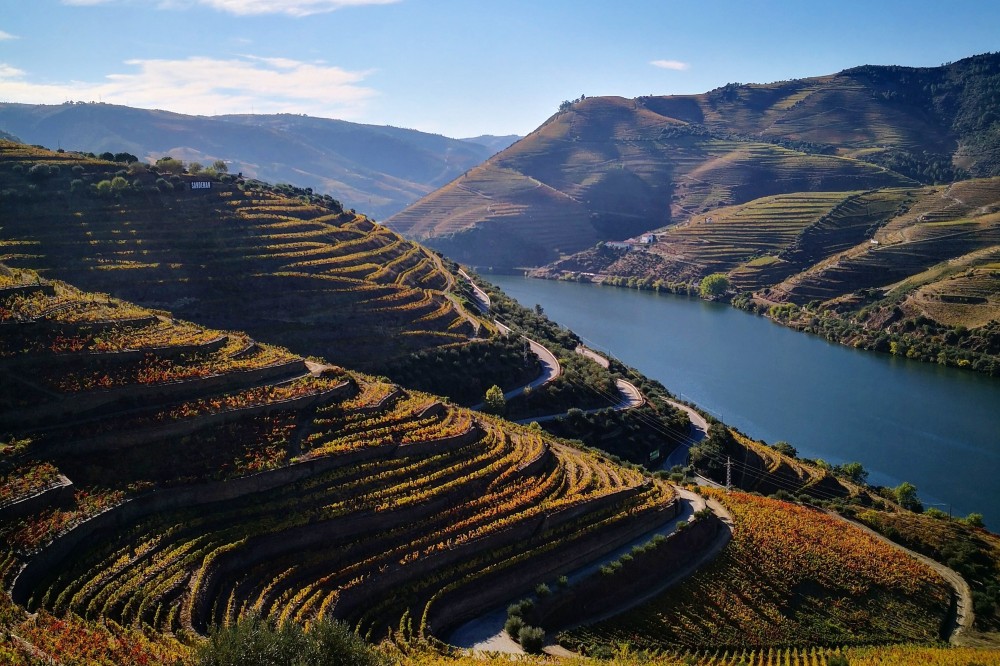 Douro Valley Tour Visit 3 Wineries w/ Wine Tastings & Lunch Porto