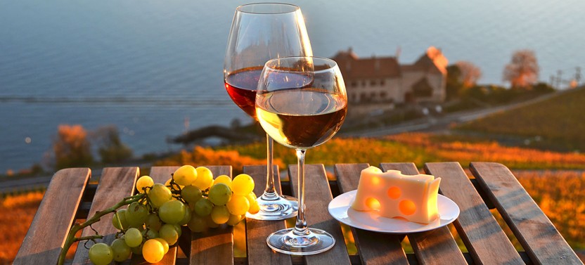 Swiss Wine Tasting in Lavaux Vineyards