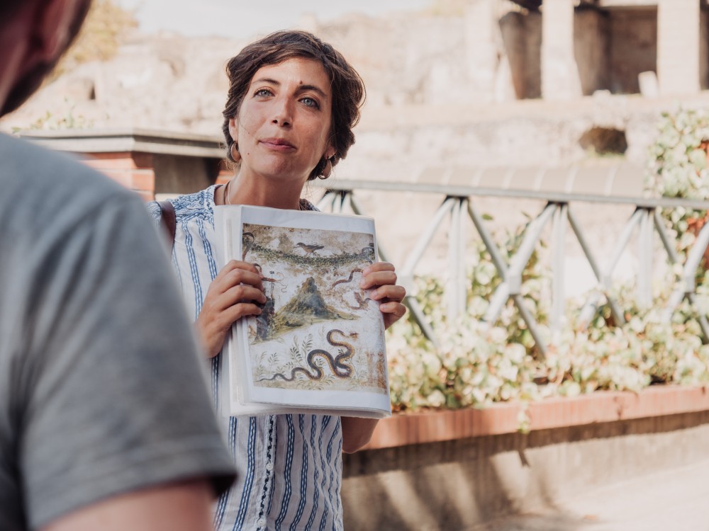 Pompeii and Herculaneum small group by fast train from Rome