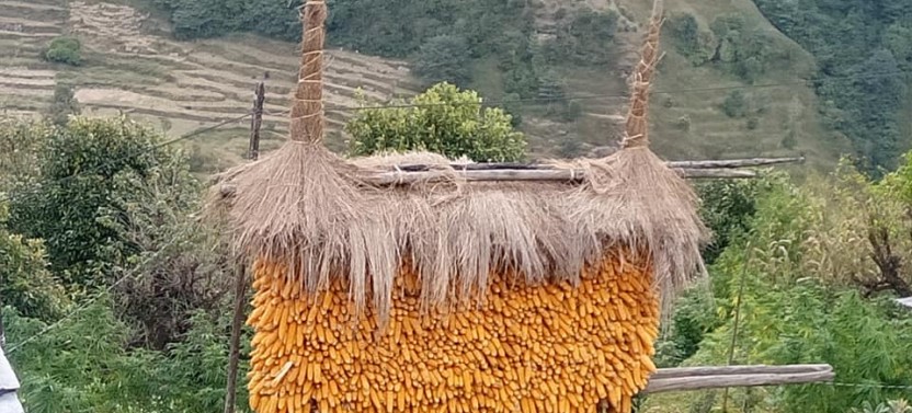 Mardi Himal Trek