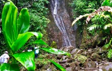 Oahu Rainforest and Waterfall Hike