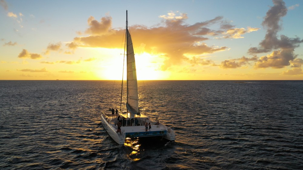 rodney bay catamaran