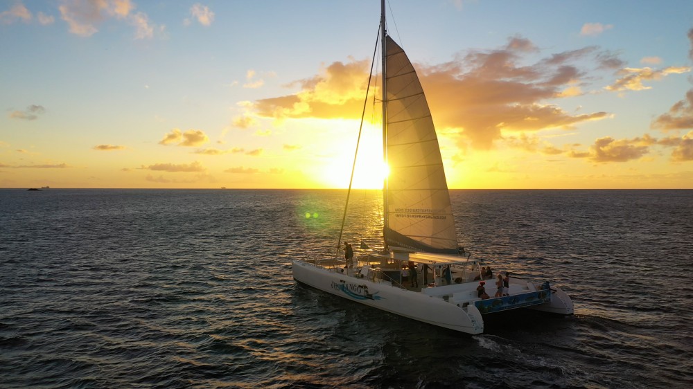 rodney bay catamaran