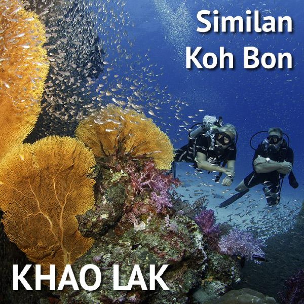 Similan Diving Trip With 2 Reef Dives from Khao Lak