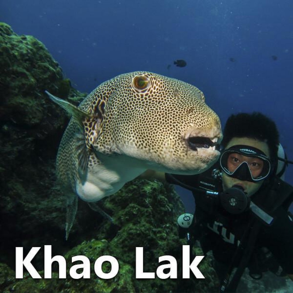 Discover Scuba Diving from Khao Lak - Khao Lak | Project Expedition