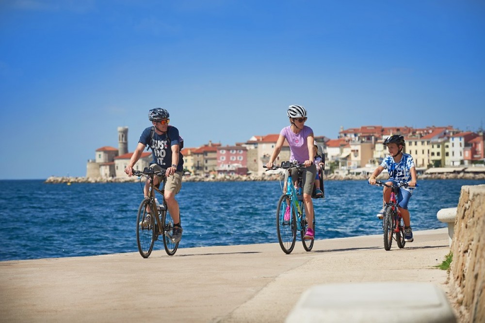 Private Parenzana Cycling Day Tour from Ljubljana