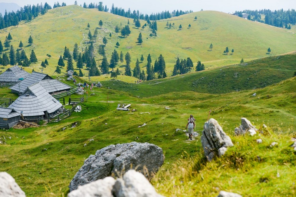 Private Velika Planina Hiking from Ljubljana