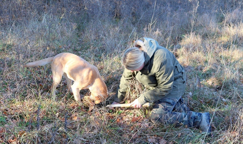 Private Truffle Hunting Experience from Ljubljana