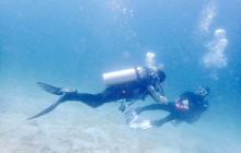 DiveGurus Diving Services Corp11