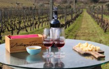 Douro Valley Wine Tour Full-Day