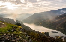 Douro River Upstream Cruise to Regua from Porto Weekends