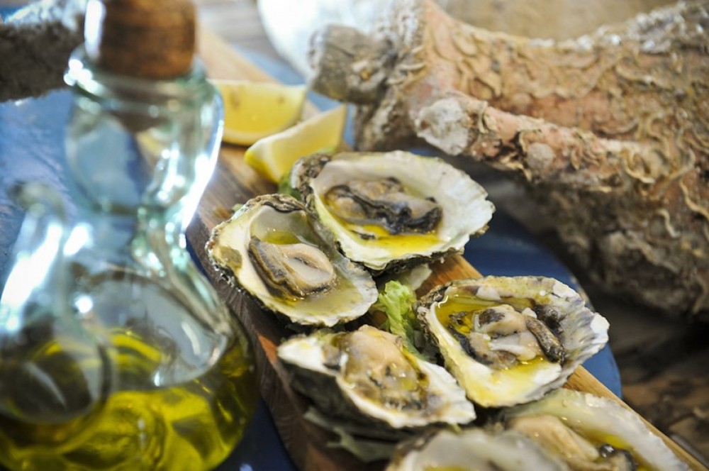 Private Ston Oyster Tasting from Split to Dubrovnik