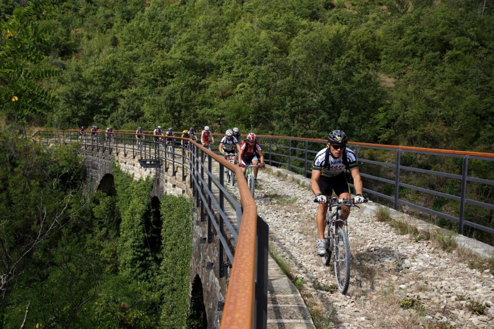 Private Parenzana Biking Tour